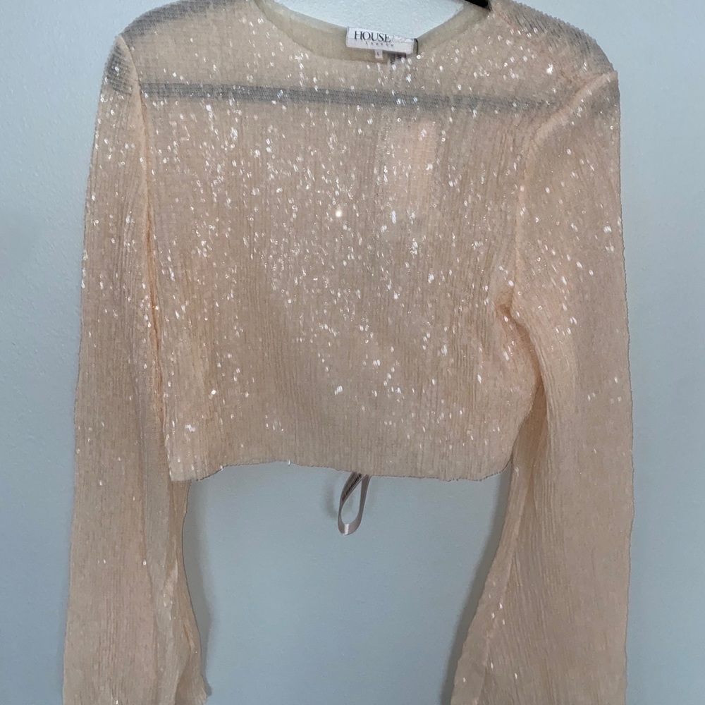 Pearl Sequence Crop Top